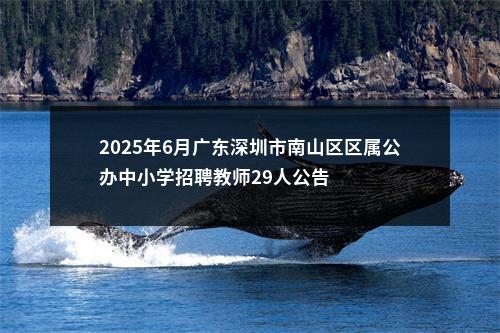 2025年6月广东深圳市南山区区属公办中小学招聘教师29人公告 图片