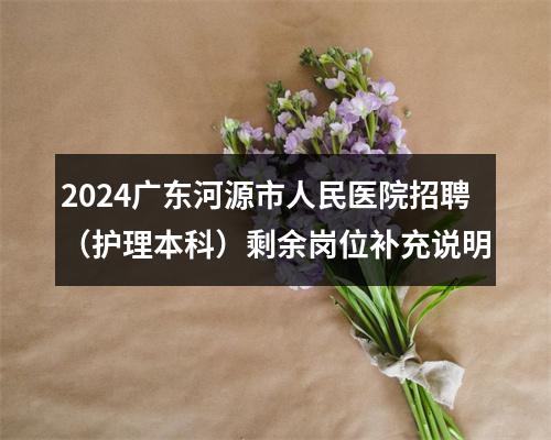 2024广东河源市人民医院招聘（护理本科）剩余岗位补充说明 图片