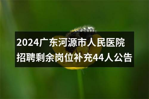 2024广东河源市人民医院招聘剩余岗位补充44人公告 图片