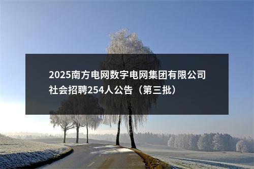 2025南方电网数字电网集团有限公司社会招聘254人公告（第三批） 图片